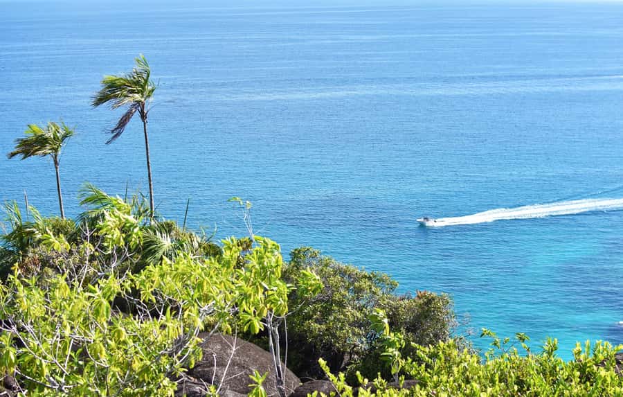 Private nature trail/hiking (5-7 Persons) - The guide can change the whole outing