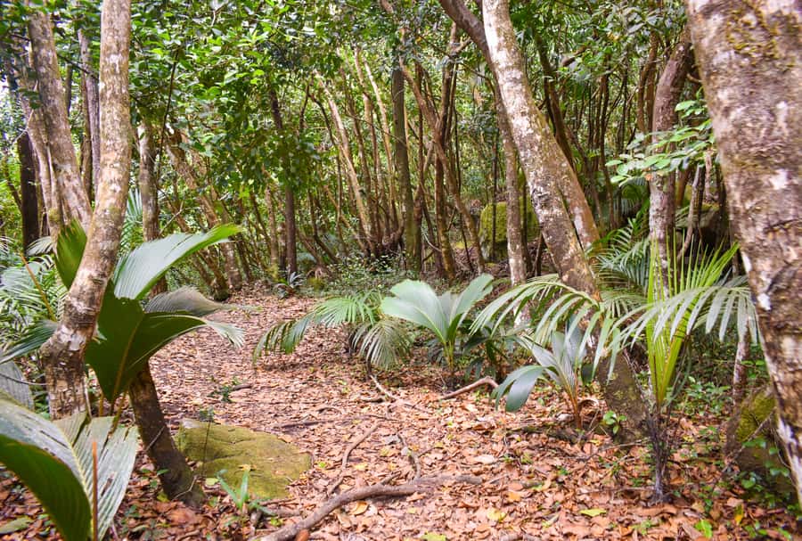 Private nature trail/hiking (5-7 Persons) - Timing, cancellations, and practical planning