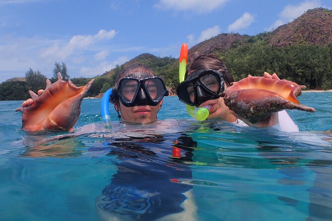 Private Seychelles Islands Tour by Boat with snacks & drinks - What the four-hour schedule feels like