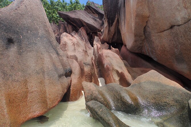 Private Seychelles Islands Tour by Boat with snacks & drinks - Who should book this experience