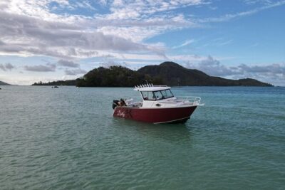 Reef Safari – Snorkeling, Fish Feeding & Lunch (Private Day Trip)