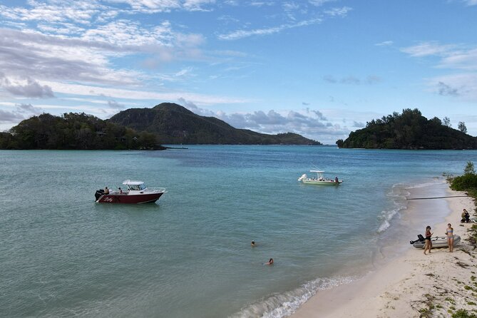 Reef Safari - Snorkeling, Fish Feeding & Lunch (Private Day Trip) - Moyenne Island, giant tortoises, and quiet beach time