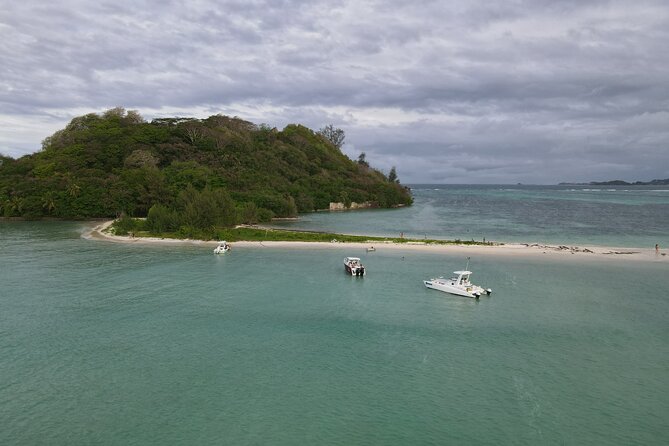 Reef Safari - Snorkeling, Fish Feeding & Lunch (Private Day Trip) - A private lunch with seafood and local flavor