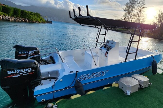 Reef Safari - Snorkeling, Fish Feeding & Lunch (Private Day Trip) - Service, reliability, and the private-tour advantage