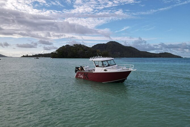 Reef Safari - Snorkeling, Fish Feeding & Lunch (Private Day Trip) - From Mahé pickup to the Victoria harbor