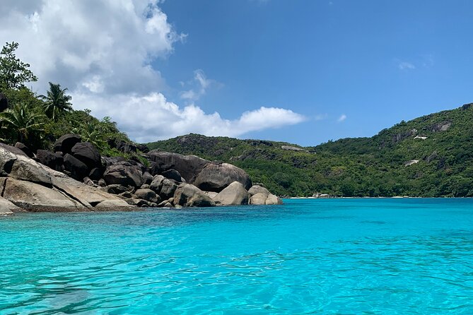 Reef Safari - Snorkeling, Fish Feeding & Lunch (Shared Day Trip) - The best parts of the Reef Safari