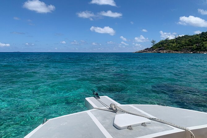 Reef Safari - Snorkeling, Fish Feeding & Lunch (Shared Day Trip) - Group size, crew, and the pace of the day