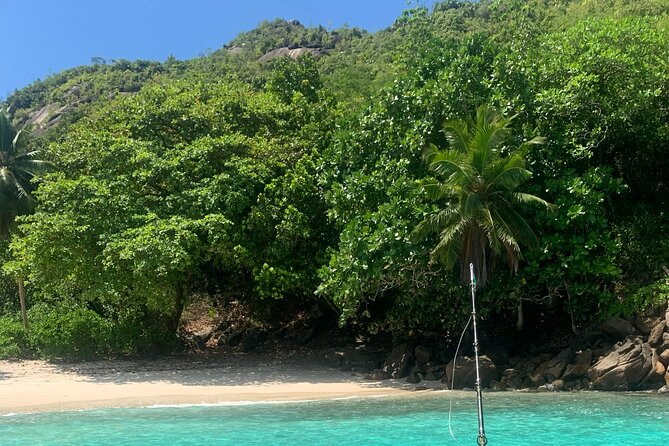 Reef Safari - Snorkeling, Fish Feeding & Lunch (Shared Day Trip) - Should you book this boat day?