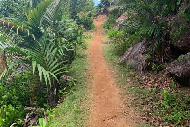 Relaxed hike to Anse Major | Mahe, Seychelles, Great Private Tour - Reaching the Anse Major trail from Mahé’s north-west coast