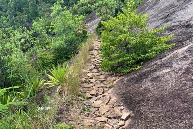 Relaxed hike to Anse Major | Mahe, Seychelles, Great Private Tour - Practical advice for a smoother walk