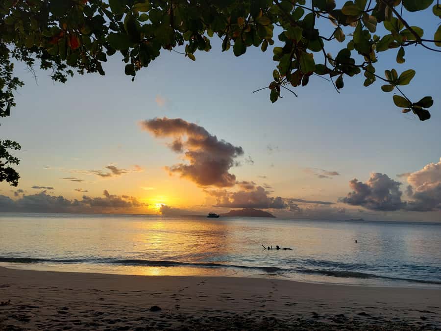 Seychelles: Best of Mahe Private Tour - What this Mahe tour is really designed to do