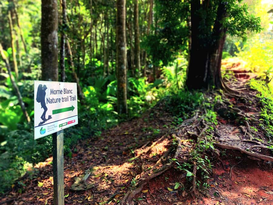 Seychelles: Best of Mahe Private Tour - Takamaka Bay Rum and the Craft Village