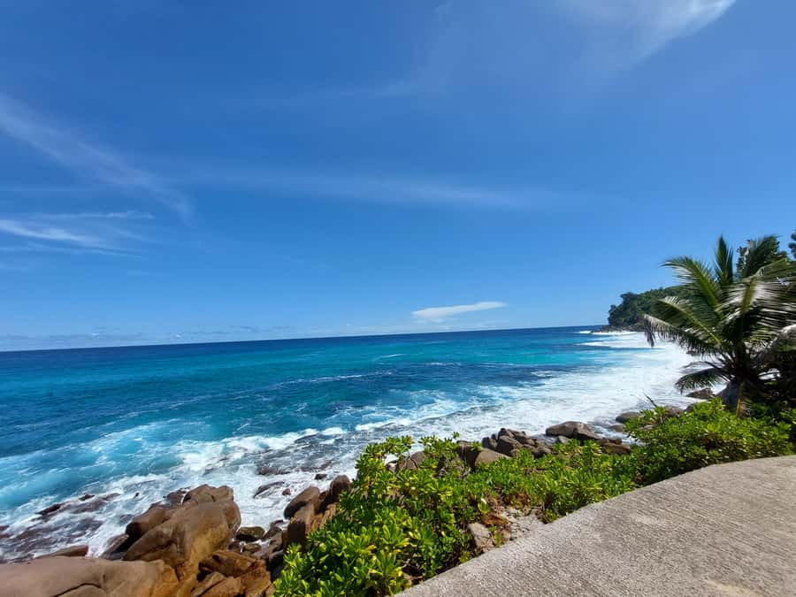 Seychelles: Best of Mahe Private Tour - Who should book this private Mahe day?