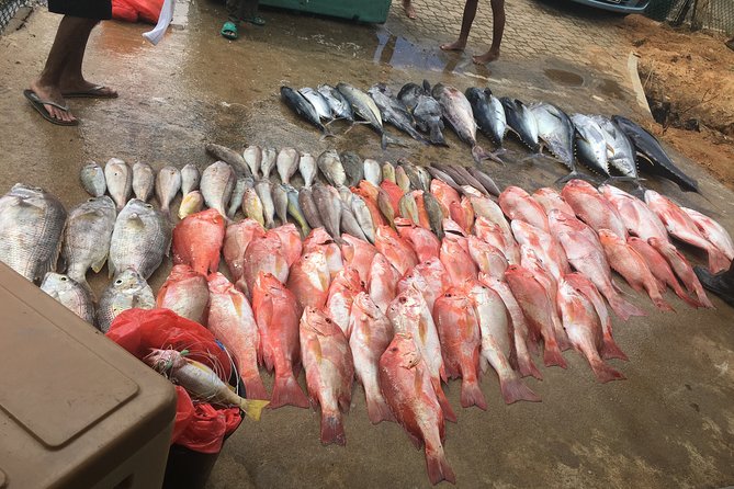 Seychelles Fishing - Key Points Before You Cast Off