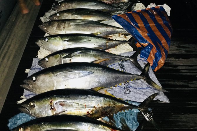 Seychelles Fishing - A Private Boat Changes the Experience