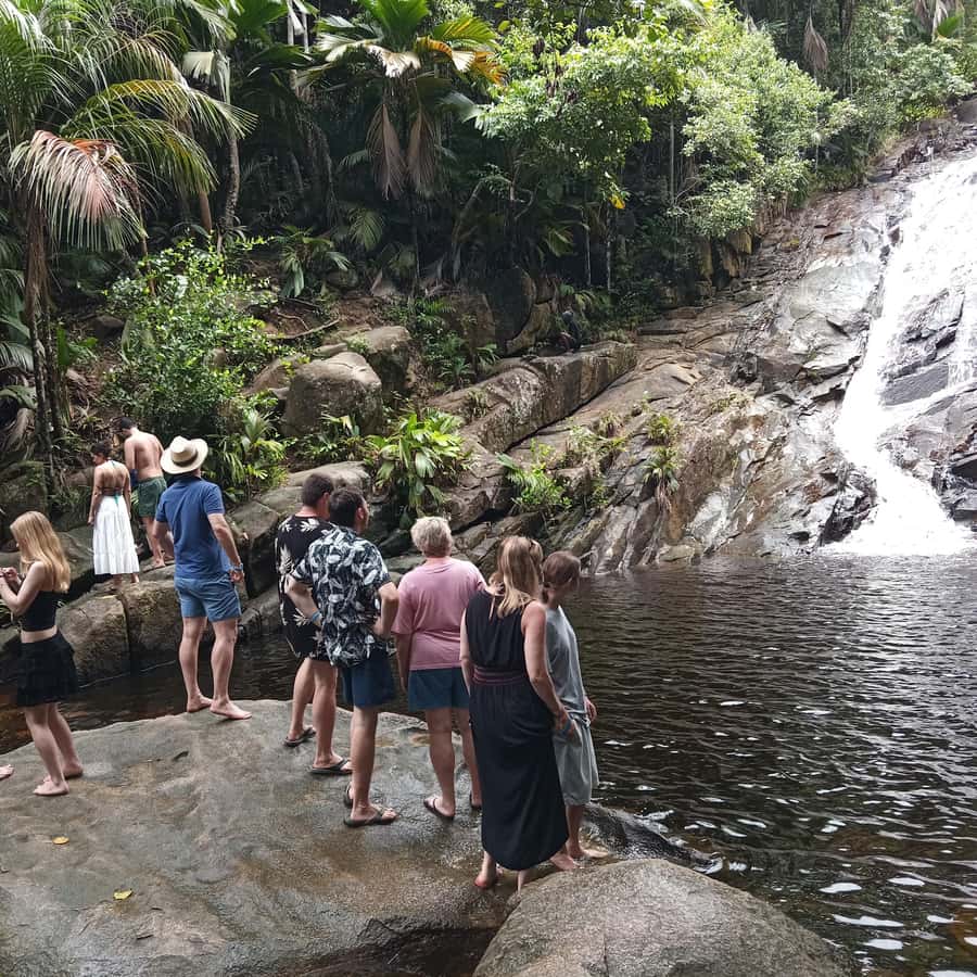Seychelles: Full Day Private Tour in Mahe (1 to 5 Person) - Roy’s guiding style matters