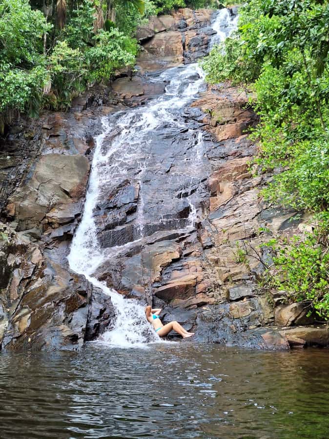 Seychelles: Full Day Private Tour in Mahe (1 to 5 Person) - Giant tortoises and the Takamaka finale