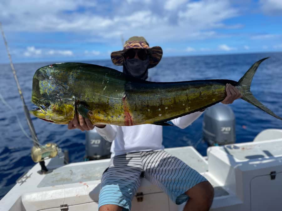 Seychelles: Guided Fishing Trip with Pickup and Equipment - Key points before you book