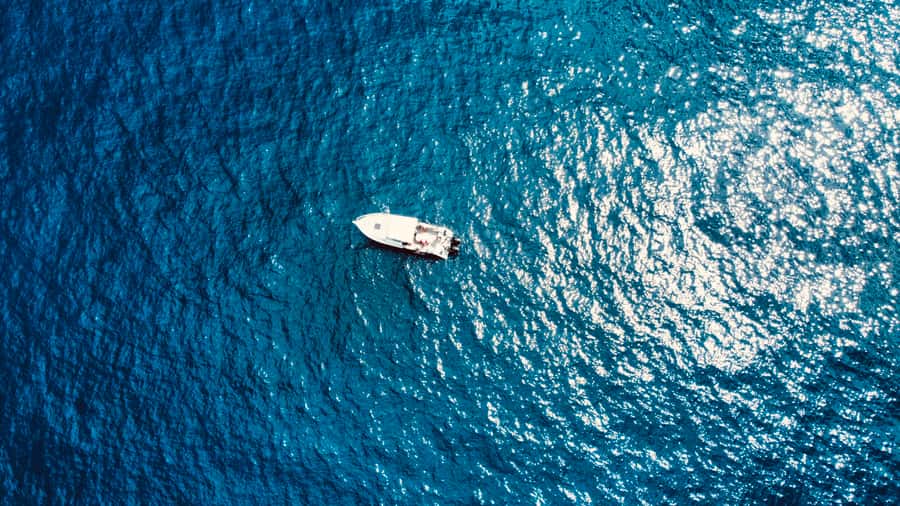 Seychelles: Guided Fishing Trip with Pickup and Equipment - What the day is really about on Mahé