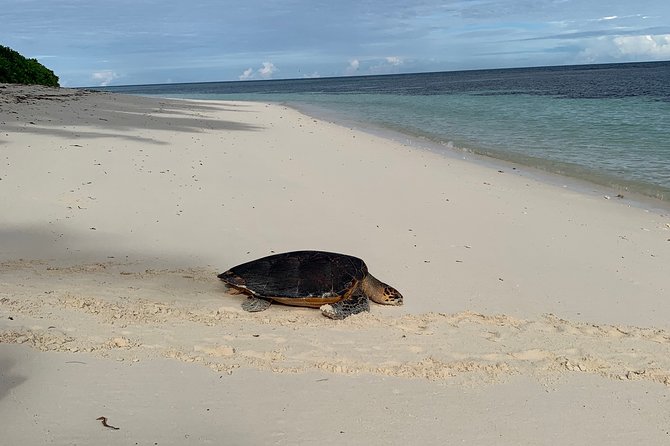 Seychelles Island Tour (PRIVATE 4 hours or 8 Hours) - Mission Lodge Lookout and the mountain road