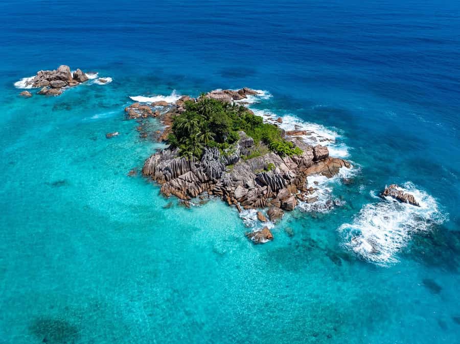 Seychelles: St Pierre and Curieuse Catamaran Tour with Lunch - Curieuse Island, tortoises, and a one-hour nature walk