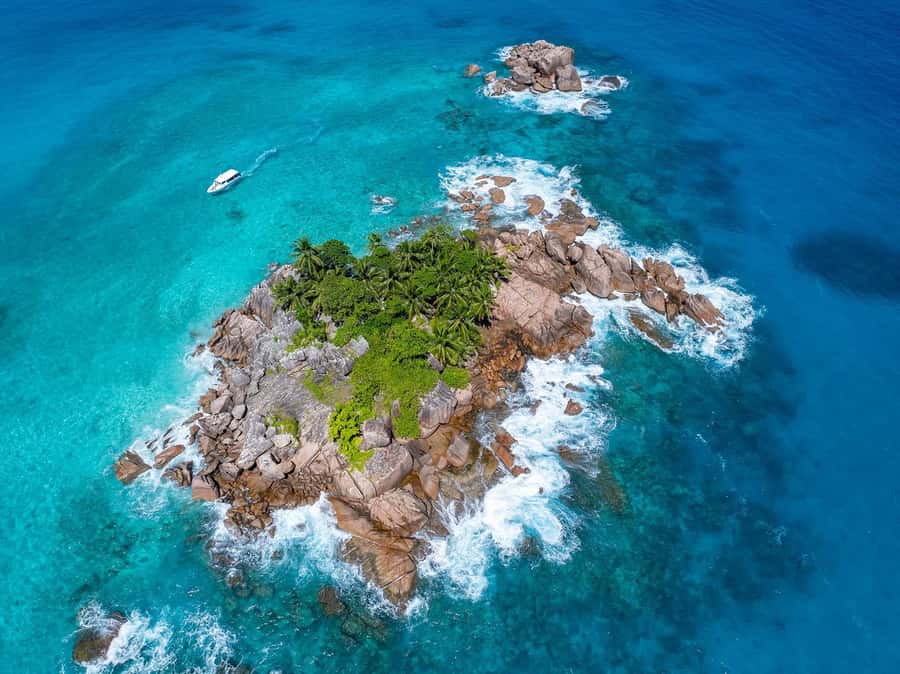 Seychelles: St Pierre and Curieuse Catamaran Tour with Lunch - BBQ lunch aboard the Oplezir catamaran