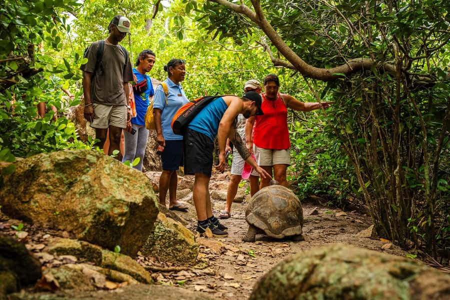 Seychelles: St Pierre and Curieuse Catamaran Tour with Lunch - Anse Georgette for swimming and photographs