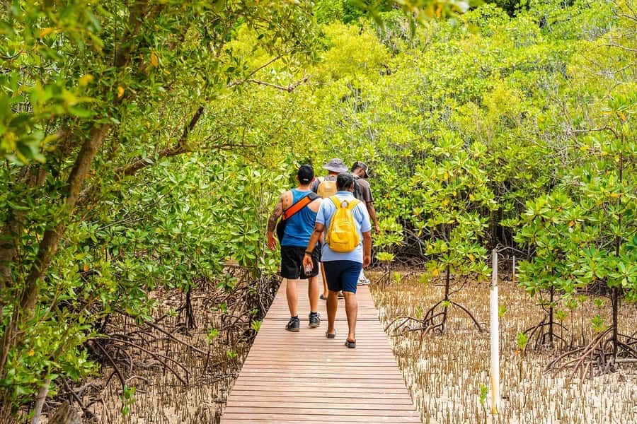Seychelles: St Pierre and Curieuse Catamaran Tour with Lunch - Is $166 a fair price?