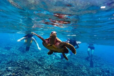 Sister, Coco, and Felicite Island: Seychelles Catamaran Tour
