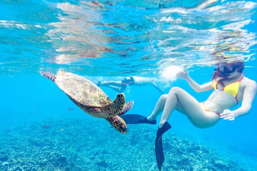 Sister, Coco, and Felicite Island: Seychelles Catamaran Tour - Félicité Island and the changing scenery