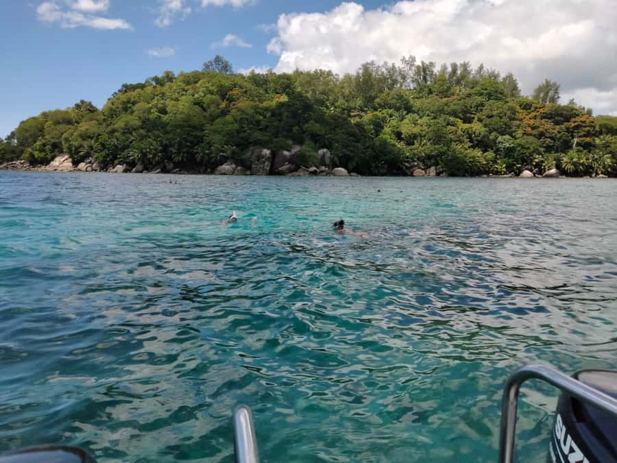 St. Anne Marine Park, Moyenne & Cerf Island Tour with Lunch - Seeing the coral garden from above and below