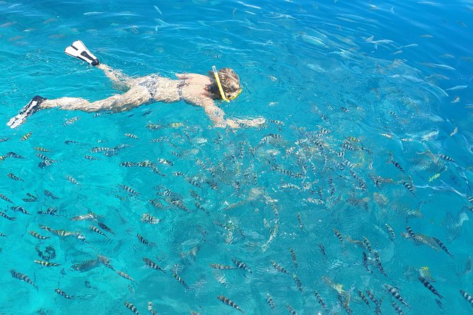 St Anne Marine Park & Moyenne Island, Creole Lunch (Private Boat) - Why this private Seychelles boat day works