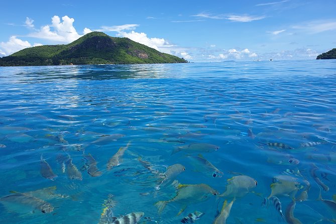 St Anne Marine Park & Moyenne Island, Creole Lunch (Private Boat) - Weather, wildlife, and the limits of the promise
