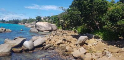 Tours and Hikes for Couples, Solo Travelers or Families