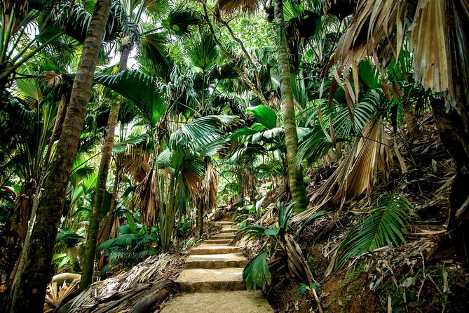 Vallee de Mai Tour (From Praslin) - Key points before you book