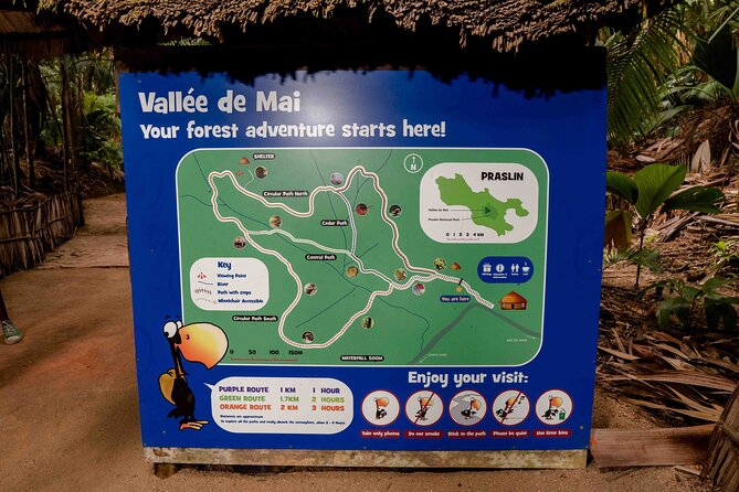 Vallee de Mai Tour (From Praslin) - What the guiding can add, and where it can fall short