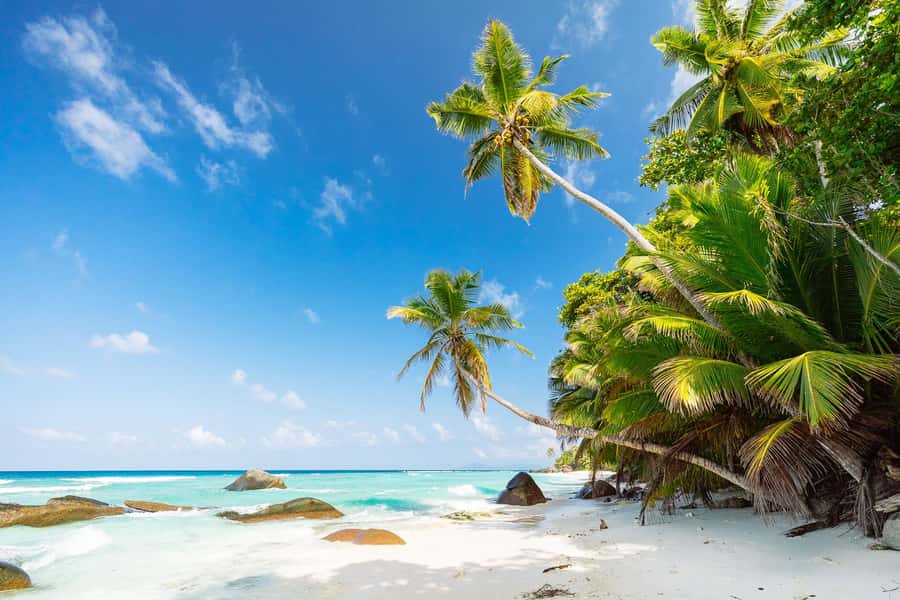 Victoria: Seychelles Mahe Island Tour - Key points to know before you book