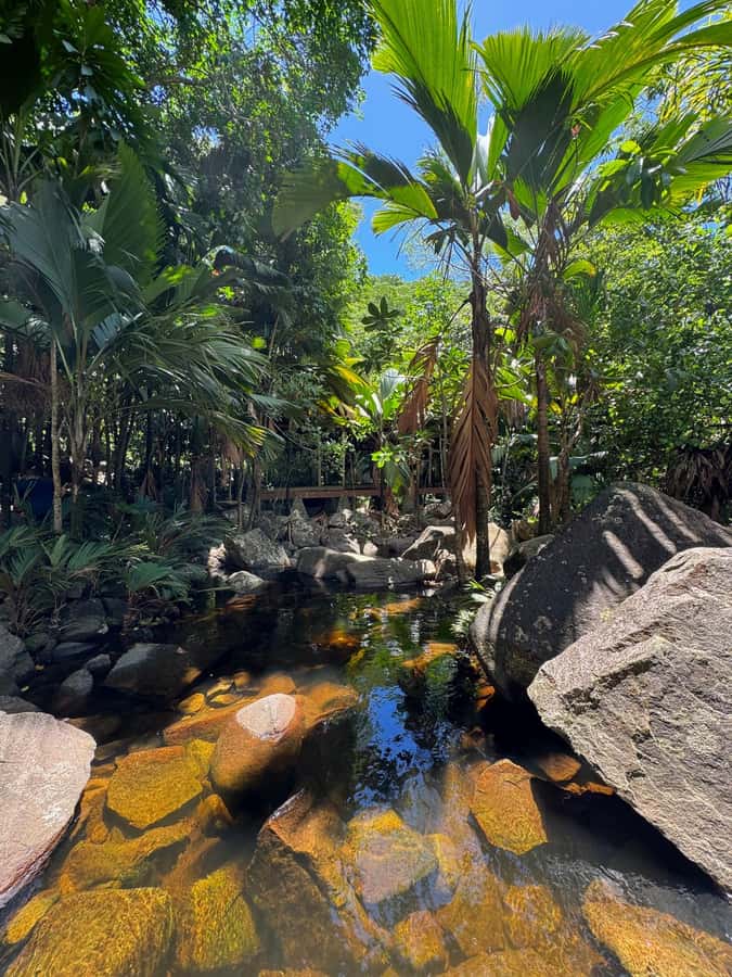 Victoria: Seychelles Mahe Island Tour - Price, group size, and overall value
